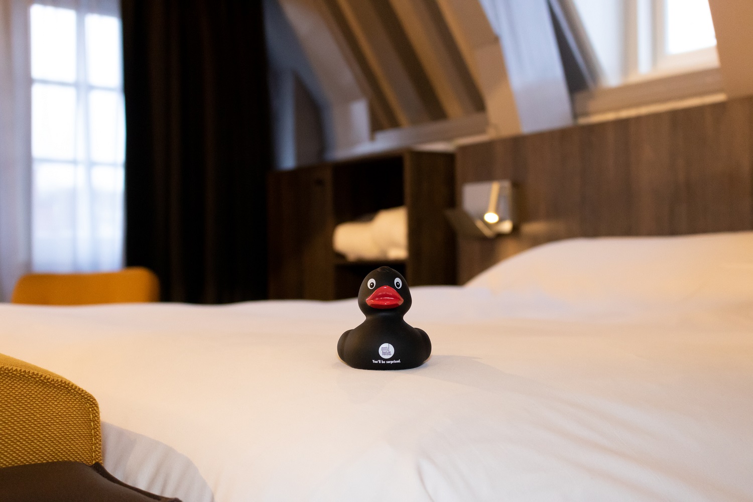 Inntel-Hotels-Experience-Dustin-the-duck