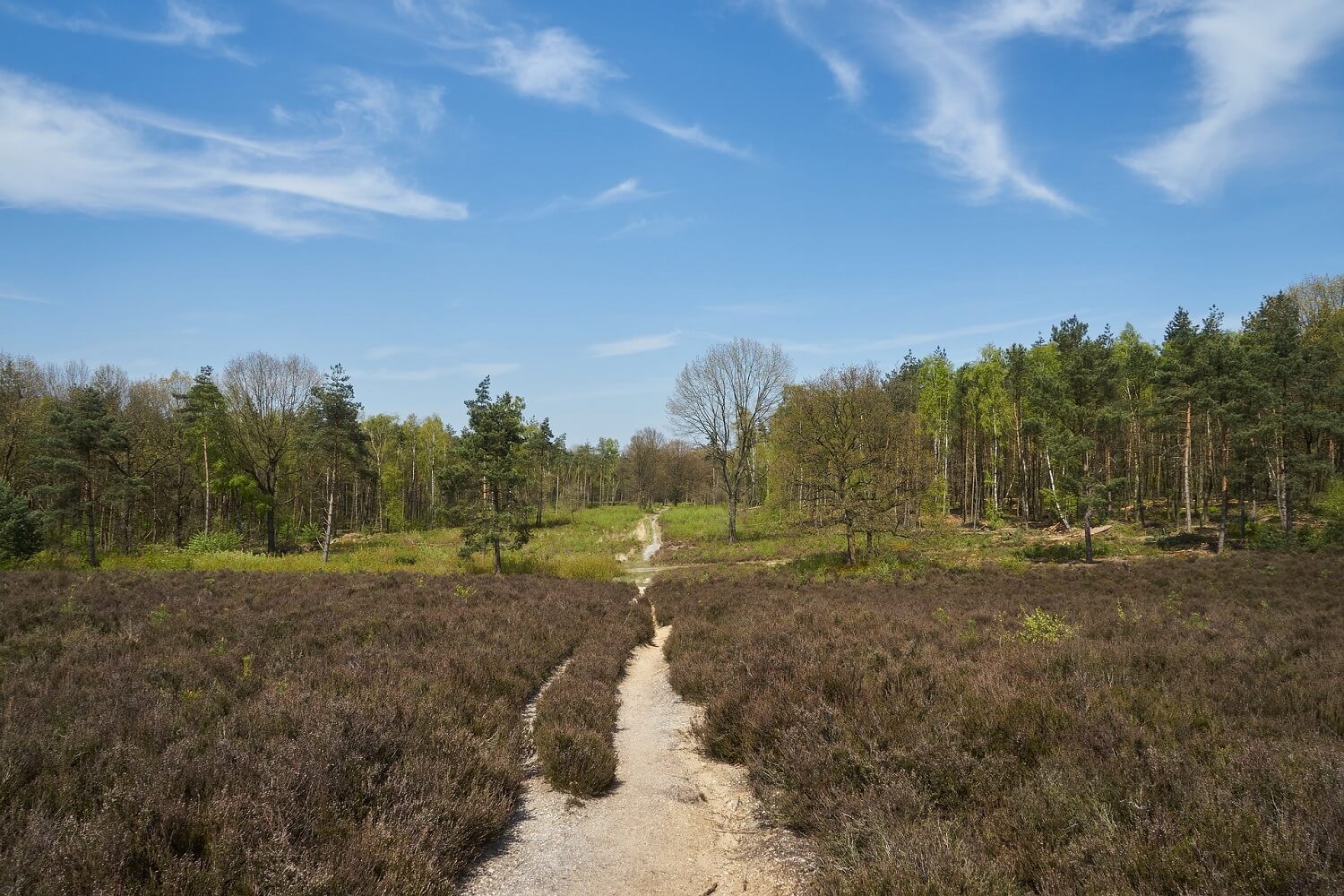 Walking in Utrecht - The Innsider - Inntel hotels