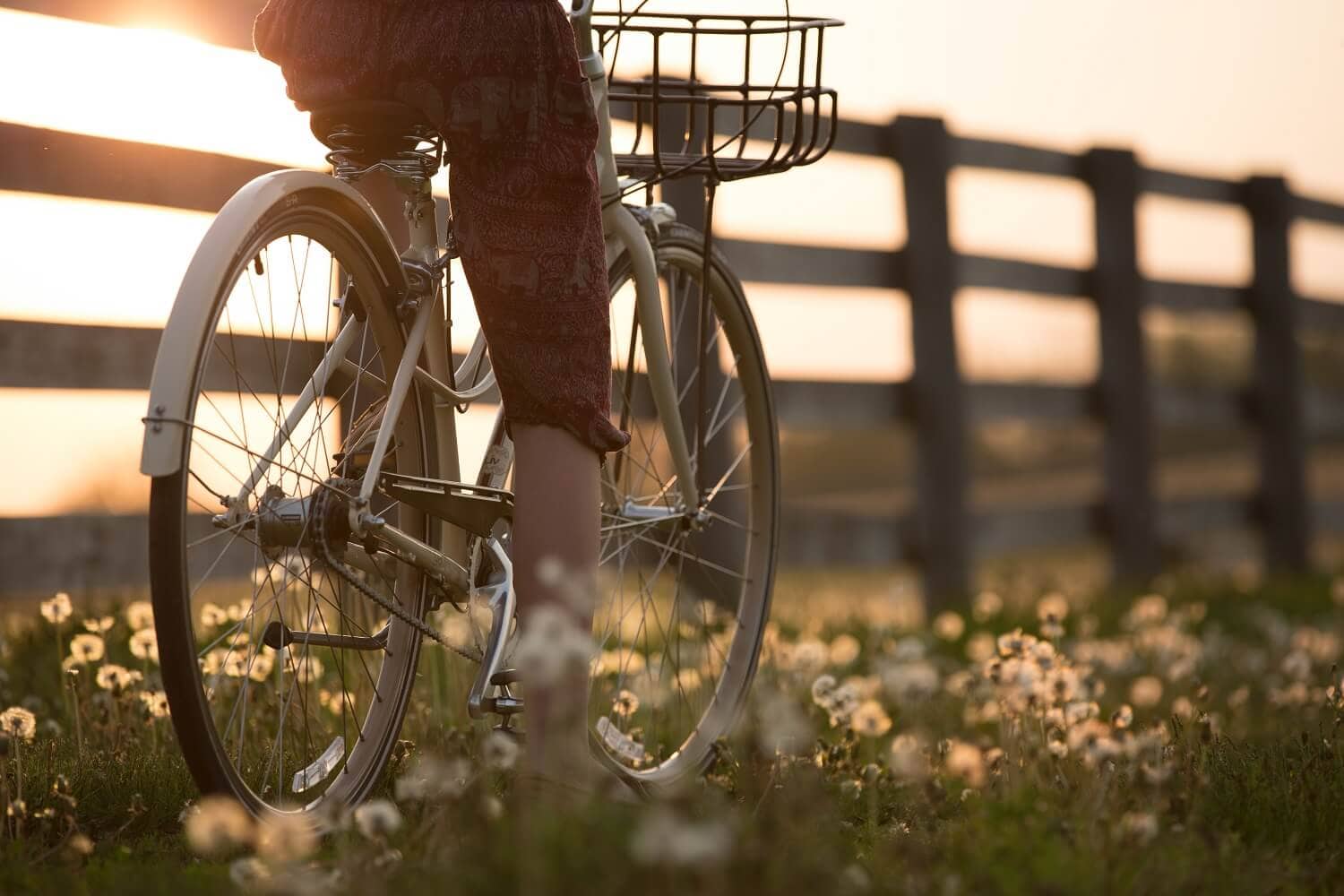 Fietsroutes in de Zaanstreek - The Innsider - Inntel Hotels