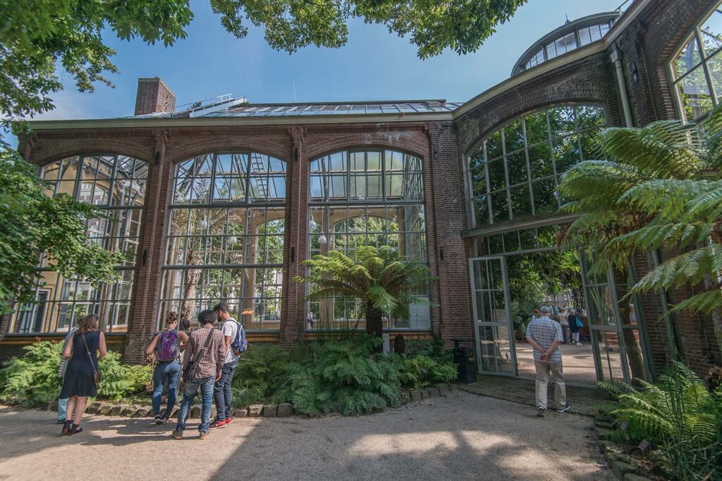 Hortus Botanicus -Koen Smilde